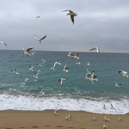 아파트 Dionysos Vue 칸느